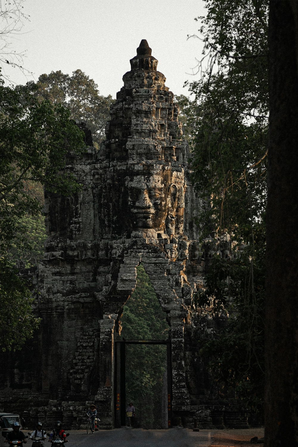 P Asia Travel & Tours